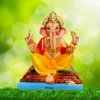 Ganesh idol with Aayudh